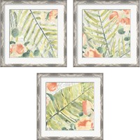 Framed 'Palm Garden 3 Piece Framed Art Print Set' border=