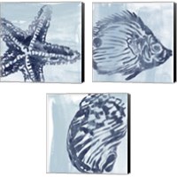 Framed Ocean Study 3 Piece Canvas Print Set