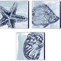 Framed 'Ocean Study 3 Piece Canvas Print Set' border=