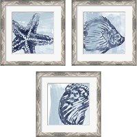 Framed 'Ocean Study 3 Piece Framed Art Print Set' border=