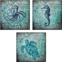 Framed 'Octopus 3 Piece Art Print Set' border=