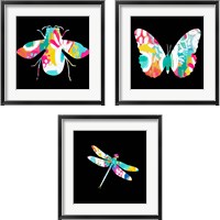 Framed Insect 3 Piece Framed Art Print Set