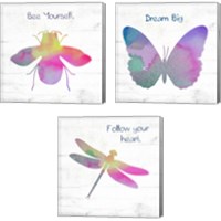 Framed Inspirational Insect 3 Piece Canvas Print Set