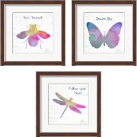 Framed 'Inspirational Insect 3 Piece Framed Art Print Set' border=