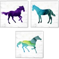 Framed 'Horse 3 Piece Canvas Print Set' border=