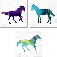 Framed Horse 3 Piece Art Print Set