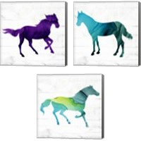 Framed Horse 3 Piece Canvas Print Set