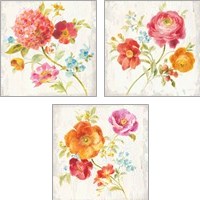 Framed 'Full Bloom 3 Piece Art Print Set' border=