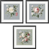 Framed 'Gifts from the Garden 3 Piece Framed Art Print Set' border=