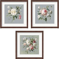 Framed 'Gifts from the Garden 3 Piece Framed Art Print Set' border=