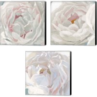 Framed 'Essence of June Floral 3 Piece Canvas Print Set' border=
