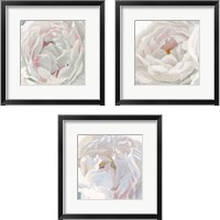 Framed 'Essence of June Floral 3 Piece Framed Art Print Set' border=