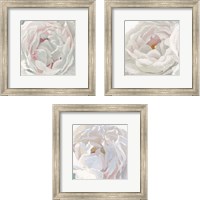Framed Essence of June Floral 3 Piece Framed Art Print Set