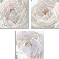 Framed 'Essence of June Floral 3 Piece Art Print Set' border=