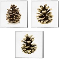 Framed 'Conifer Cone 3 Piece Canvas Print Set' border=