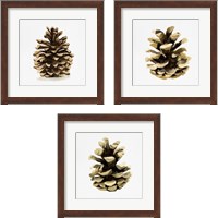 Framed 'Conifer Cone 3 Piece Framed Art Print Set' border=