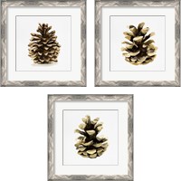 Framed 'Conifer Cone 3 Piece Framed Art Print Set' border=