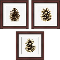 Framed Conifer Cone 3 Piece Framed Art Print Set
