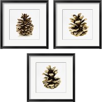 Framed Conifer Cone 3 Piece Framed Art Print Set