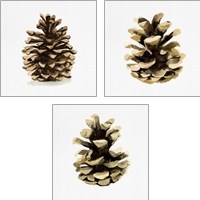 Framed 'Conifer Cone 3 Piece Art Print Set' border=