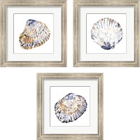 Framed 'Simple Shells 3 Piece Framed Art Print Set' border=