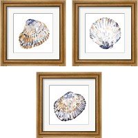 Framed Simple Shells 3 Piece Framed Art Print Set
