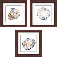 Framed 'Simple Shells 3 Piece Framed Art Print Set' border=