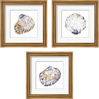 Framed 'Simple Shells 3 Piece Framed Art Print Set' border=