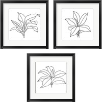 Framed Foliage Contour 3 Piece Framed Art Print Set