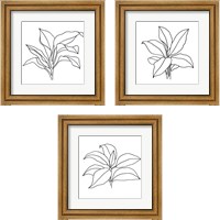 Framed 'Foliage Contour 3 Piece Framed Art Print Set' border=