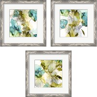 Framed 'Flower Facets 3 Piece Framed Art Print Set' border=