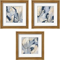 Framed 'Blossom & Bliss 3 Piece Framed Art Print Set' border=