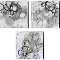 Framed 'Neutral Swipe 3 Piece Canvas Print Set' border=