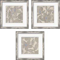 Framed 'Silvertone Garden 3 Piece Framed Art Print Set' border=