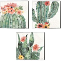 Framed 'Sweet Southwest 3 Piece Canvas Print Set' border=