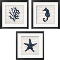 Framed 'Driftwood Coast Blue 3 Piece Framed Art Print Set' border=