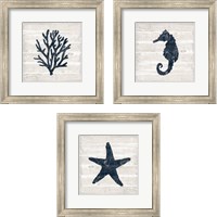Framed Driftwood Coast Blue 3 Piece Framed Art Print Set