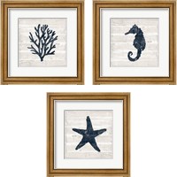 Framed 'Driftwood Coast Blue 3 Piece Framed Art Print Set' border=