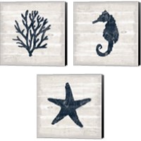 Framed 'Driftwood Coast Blue 3 Piece Canvas Print Set' border=