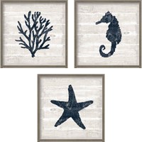 Framed 'Driftwood Coast Blue 3 Piece Framed Art Print Set' border=