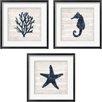 Framed Driftwood Coast Blue 3 Piece Framed Art Print Set