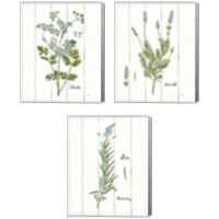Framed 'Cottage Herbs 3 Piece Canvas Print Set' border=