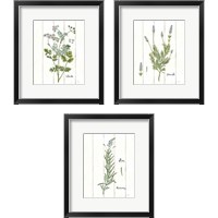 Framed Cottage Herbs 3 Piece Framed Art Print Set