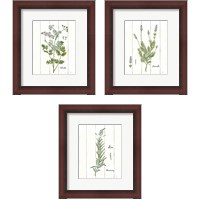 Framed Cottage Herbs 3 Piece Framed Art Print Set