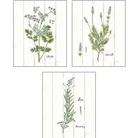 Framed 'Cottage Herbs 3 Piece Art Print Set' border=