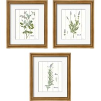 Framed 'Cottage Herbs 3 Piece Framed Art Print Set' border=
