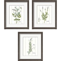 Framed 'Cottage Herbs 3 Piece Framed Art Print Set' border=