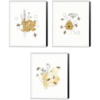 Framed 'Bees and Botanicals 3 Piece Canvas Print Set' border=