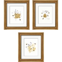 Framed 'Bees and Botanicals 3 Piece Framed Art Print Set' border=