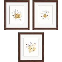 Framed Bees and Botanicals 3 Piece Framed Art Print Set